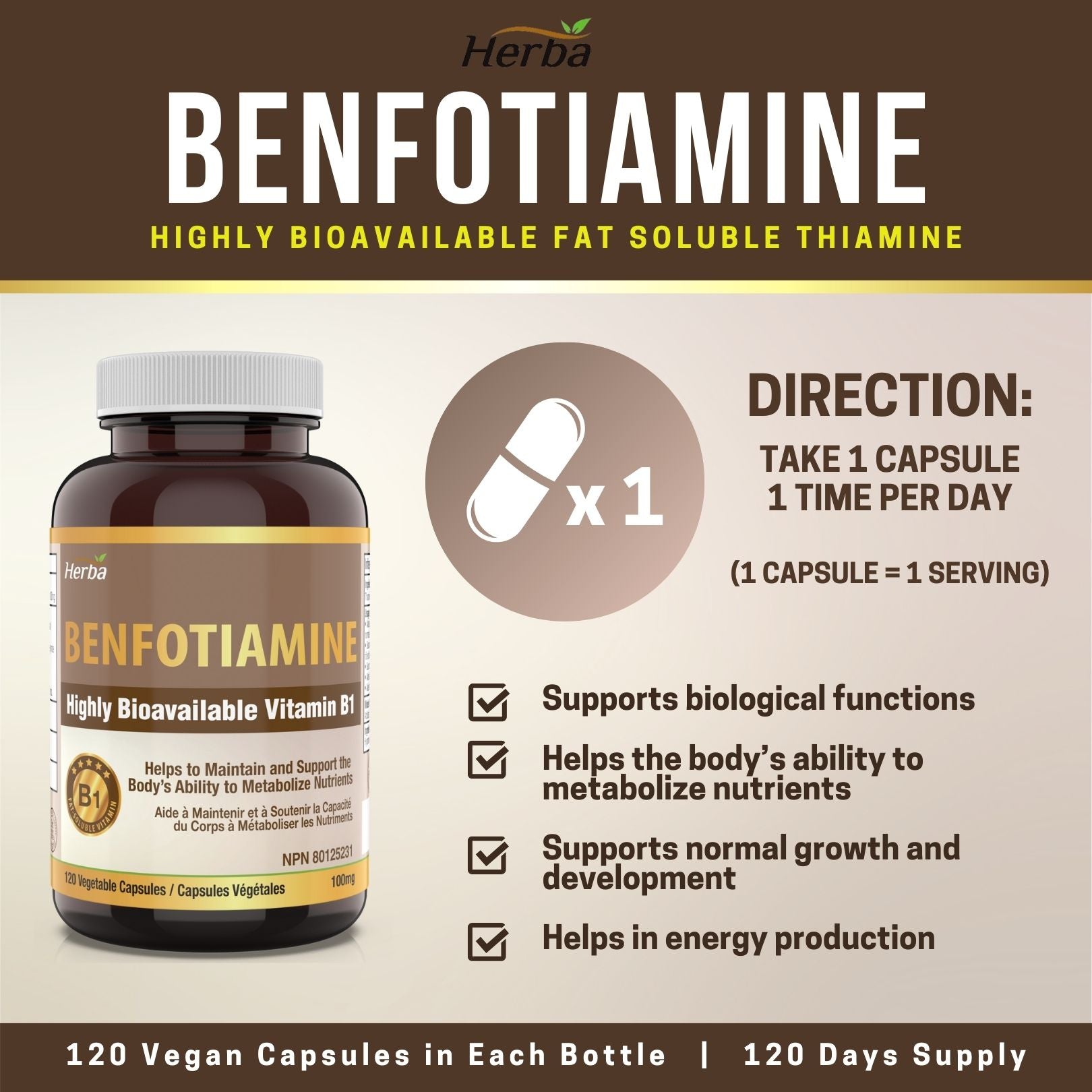Herba 벤포티아민 100mg - 120 캡슐 | 지용성 비타민 B1 | 캐나다산