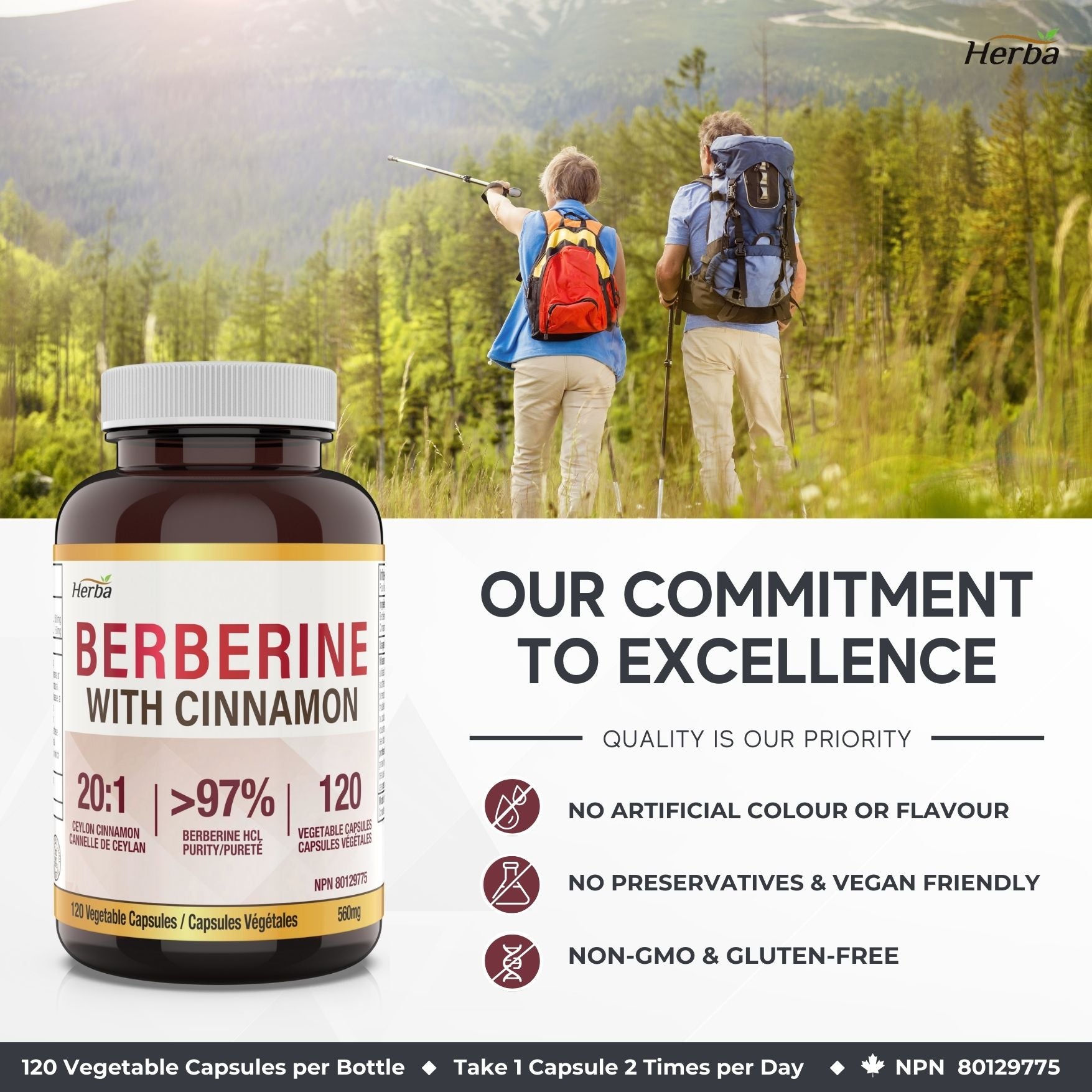 Berberine Supplement with Ceylon Cinnamon – 120 Capsules | Berberine 1000mg (per serving) | Made in Canada