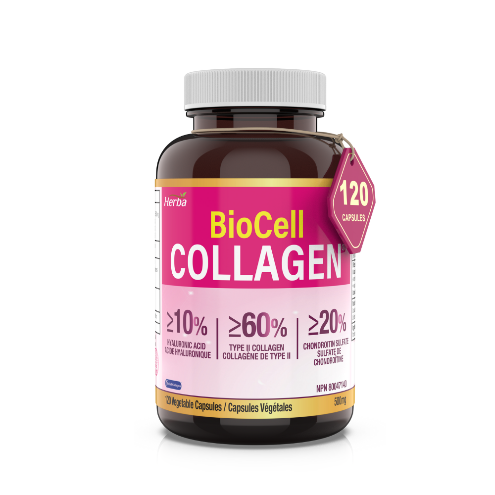 바이오셀 콜라겐 2000mg 120식물성캡슐 가수분해 콜라겐