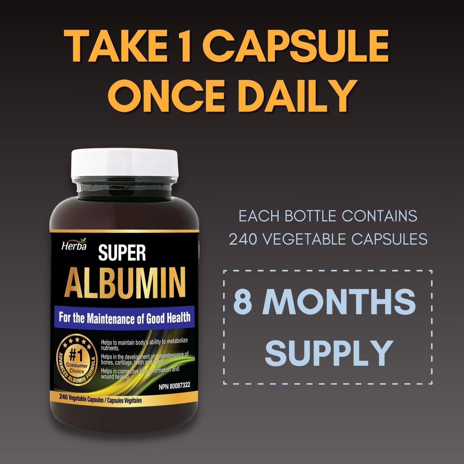 Albumin Protein Supplement – 240 Vegetable Capsules | Albumin Capsules with 16 Ingredients Including Deer Antler &amp; Royal Jelly - Herba