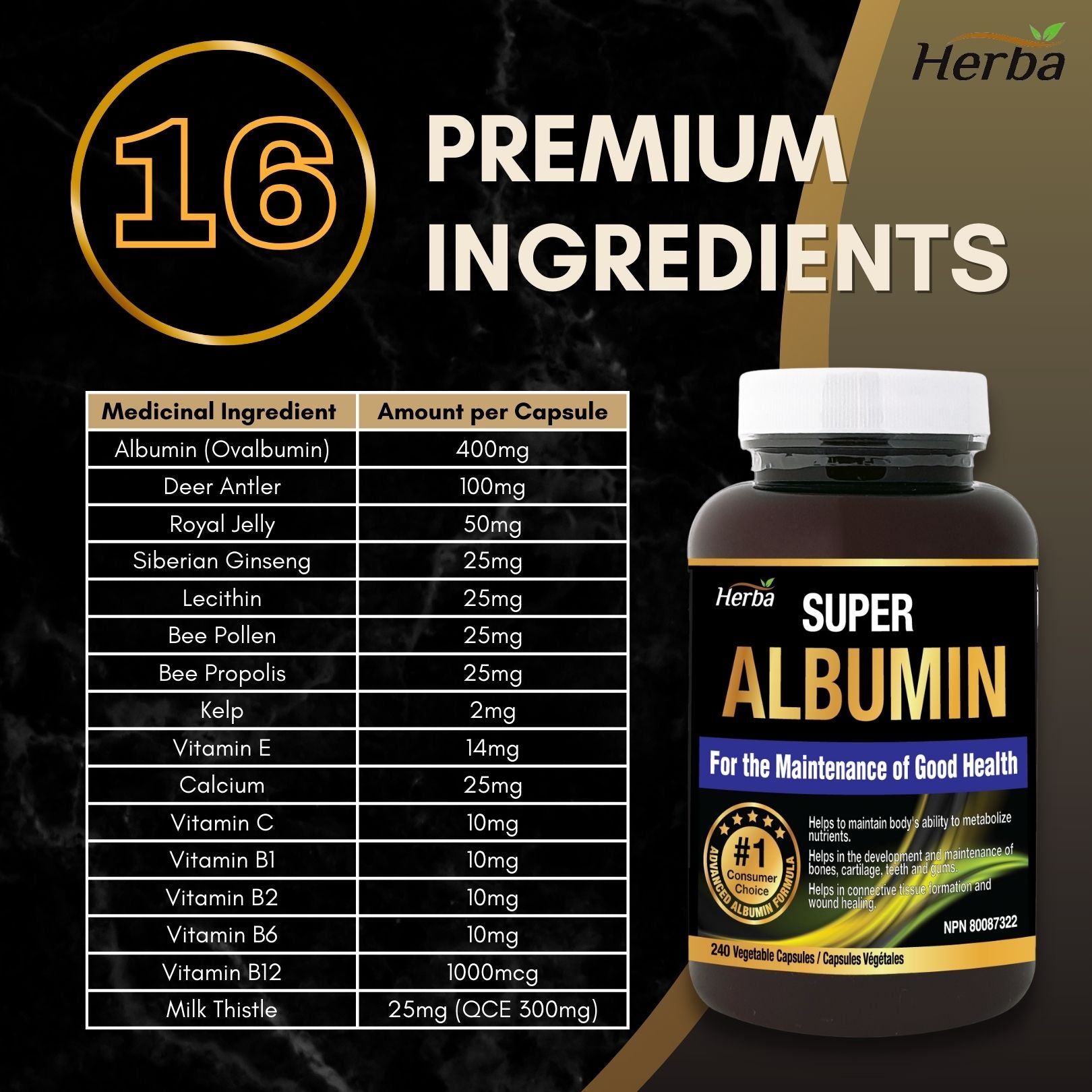 Albumin Protein Supplement – 240 Vegetable Capsules | Albumin Capsules with 16 Ingredients Including Deer Antler &amp; Royal Jelly - Herba