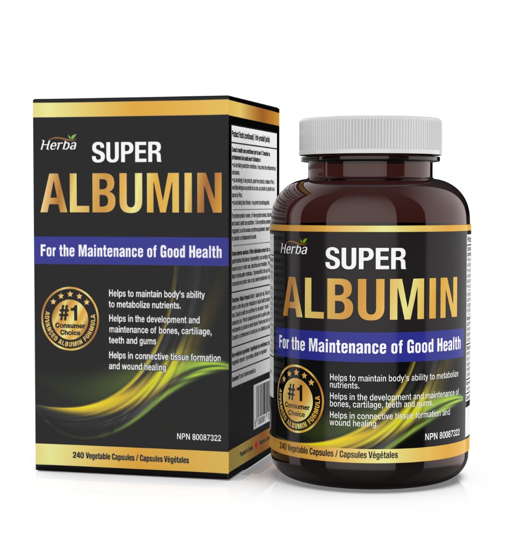 protein supplement albumin