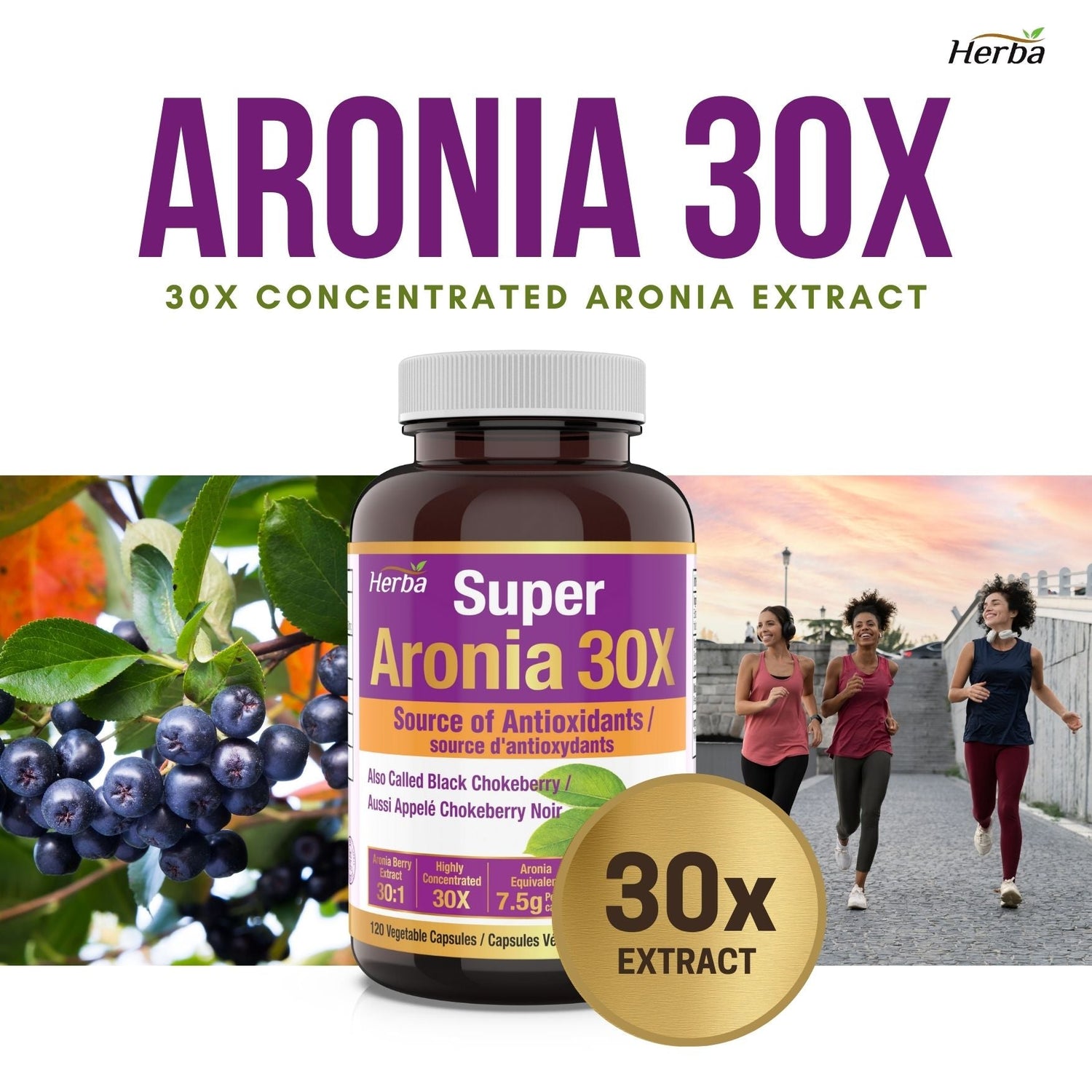 Aronia Berry Extract 250mg – 120 Capsules | 7500mg Fruit Equivalent | 30:1 Aronia Extract Supplement - Herba