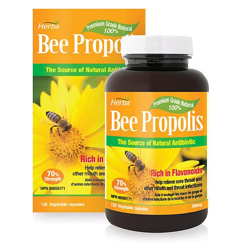 Bee Propolis Capsules 500mg - 120 Capsules - Herba