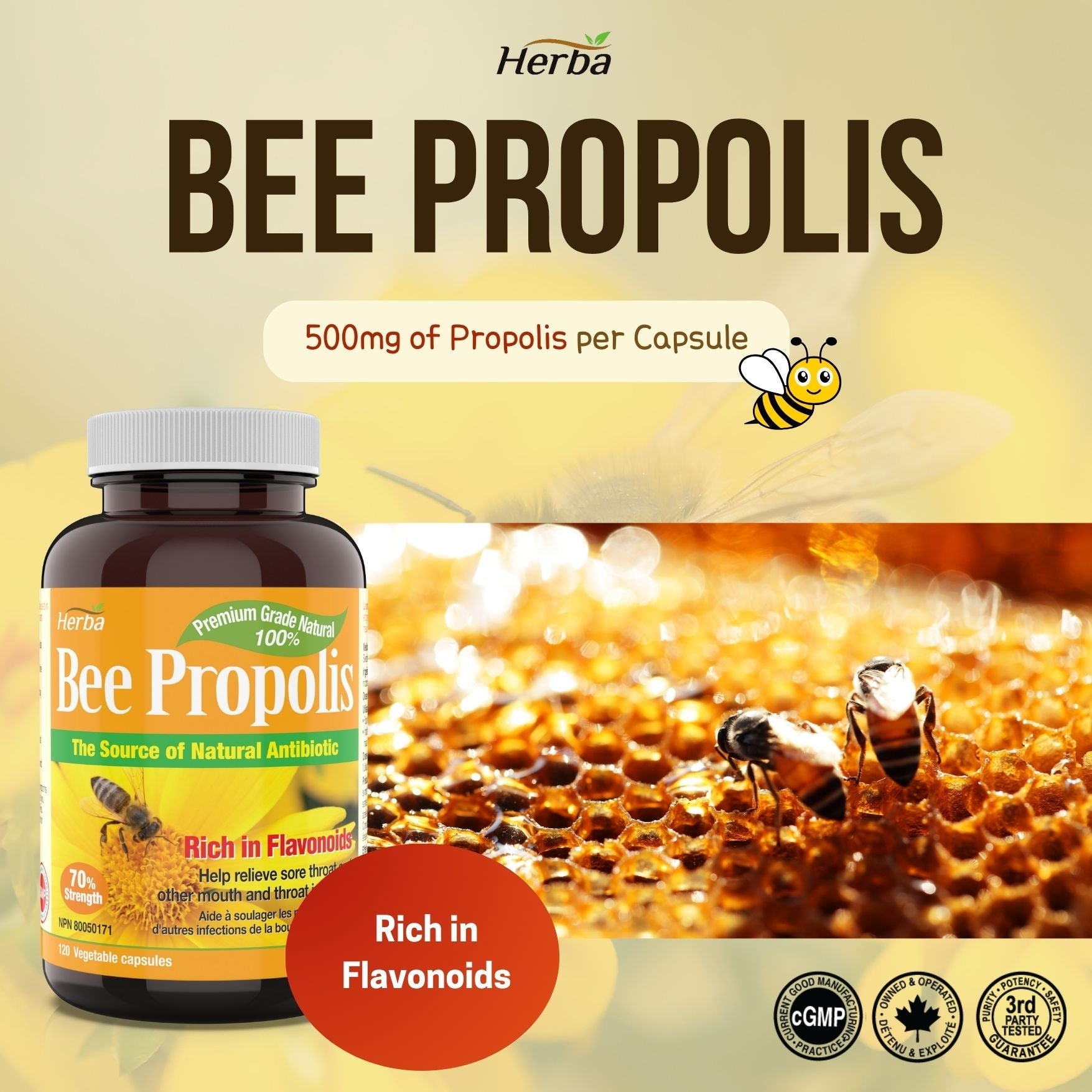 Bee Propolis Capsules 500mg - 120 Capsules - Herba