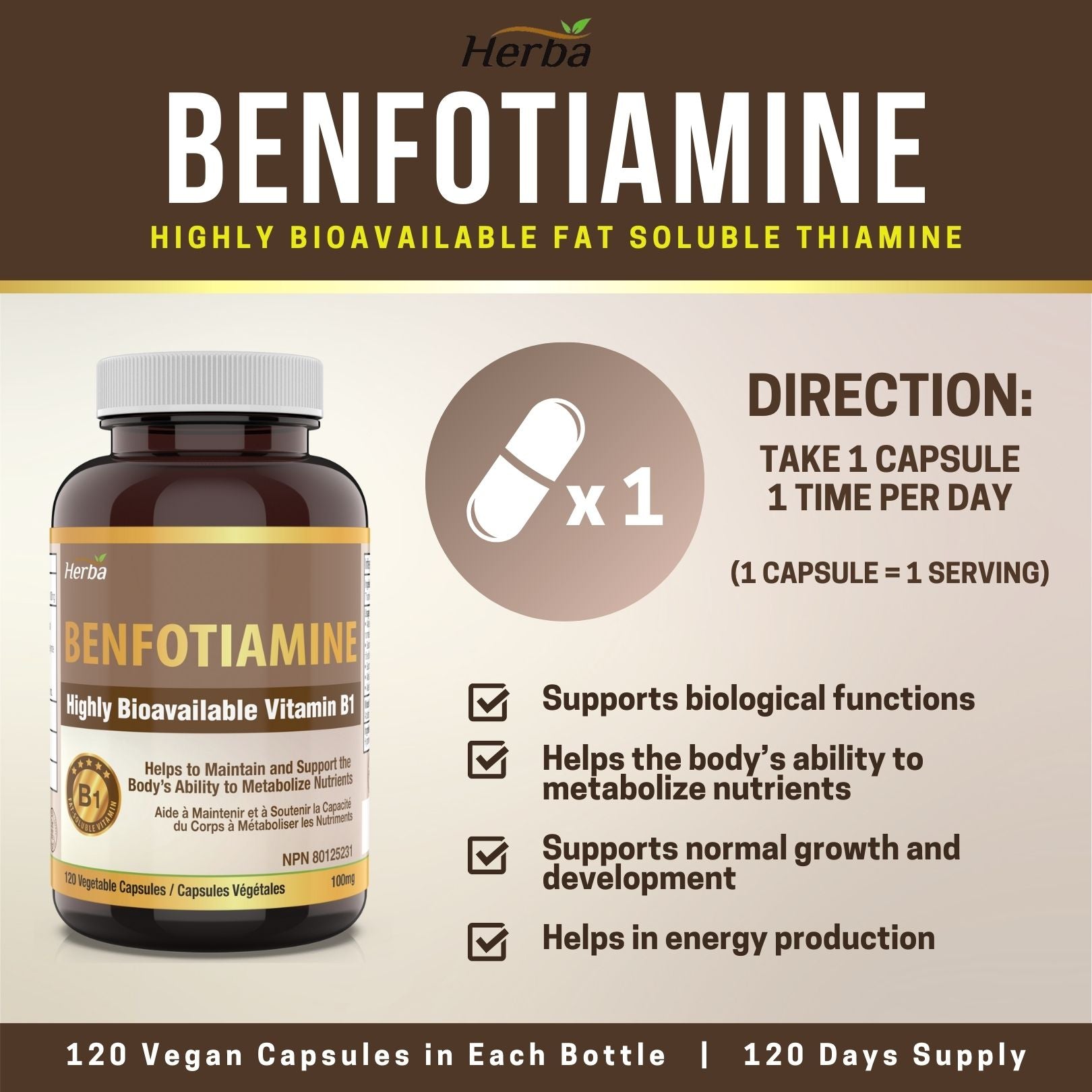 Benfotiamine 100mg - 120 Capsules | Fat Soluble Vitamin B1 | Made in Canada - Herba