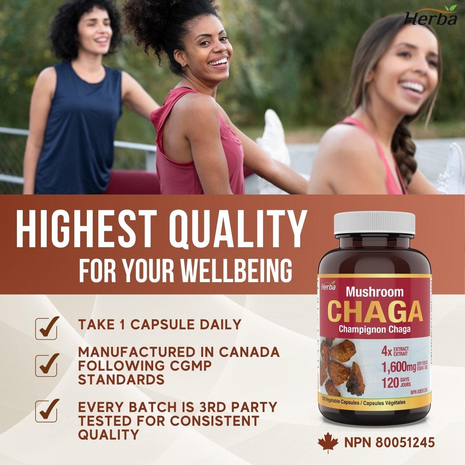 Chaga Mushroom Capsules 400mg - 120 Vegetable Capsules | 4:1 High Concentrate - Herba