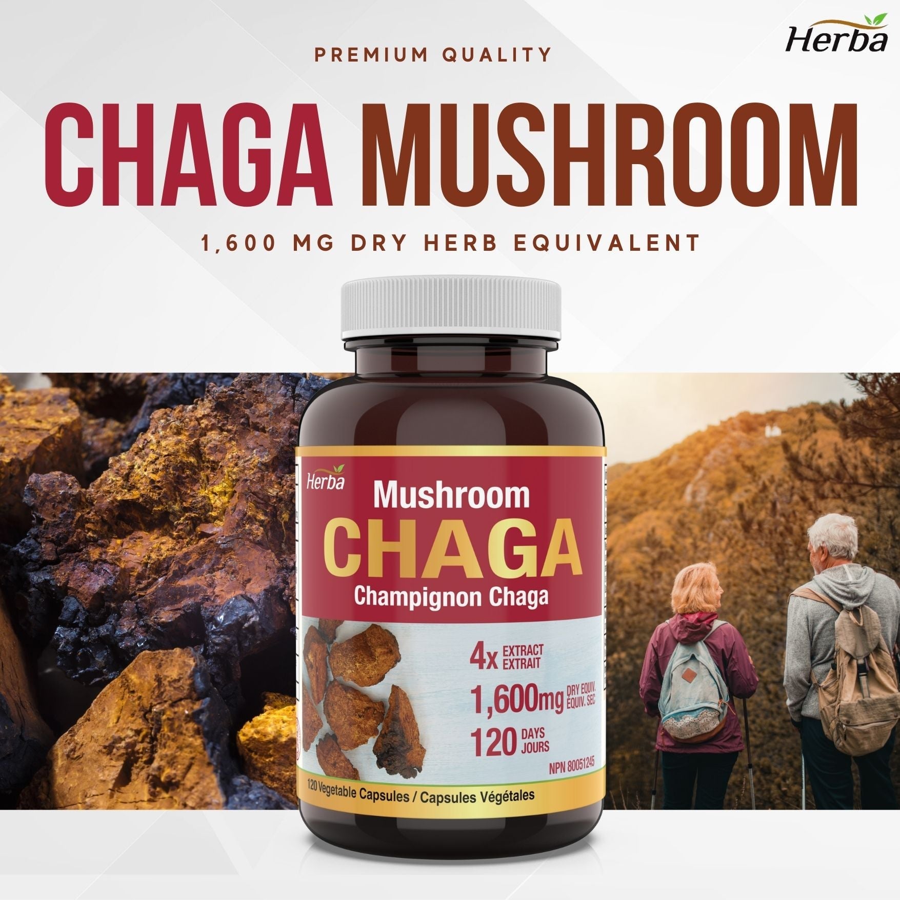 Chaga Mushroom Capsules 400mg - 120 Vegetable Capsules | 4:1 High Concentrate - Herba