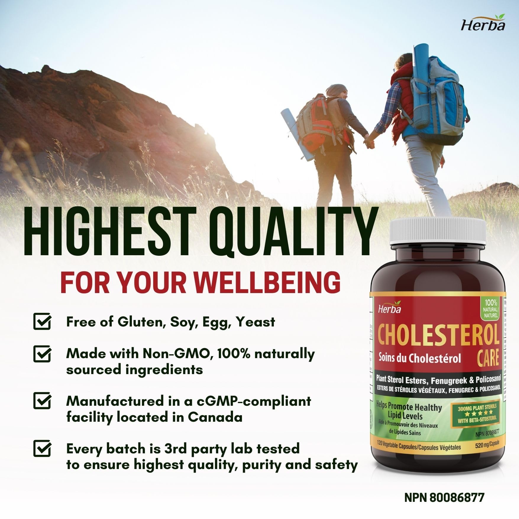 Cholesterol Care – 120 Vegetable Capsules - Herba