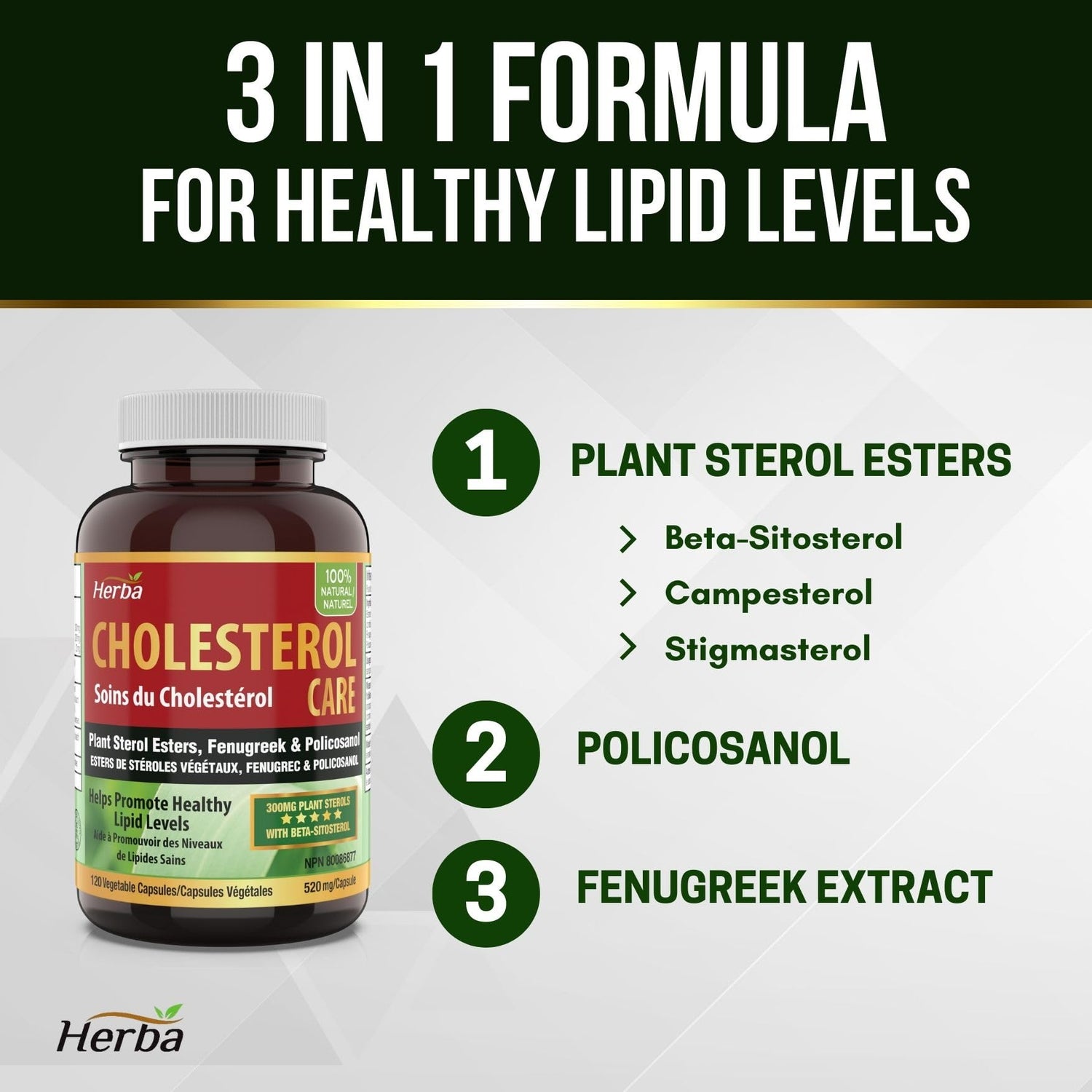 Cholesterol Care – 120 Vegetable Capsules - Herba