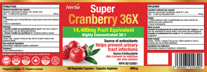 Cranberry Pills for Women and Men – 180 Cranberry Capsules | 28,800mg Per Day | 36:1 Concentration - Herba