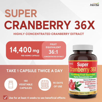 Cranberry Pills for Women and Men – 180 Cranberry Capsules | 28,800mg Per Day | 36:1 Concentration - Herba