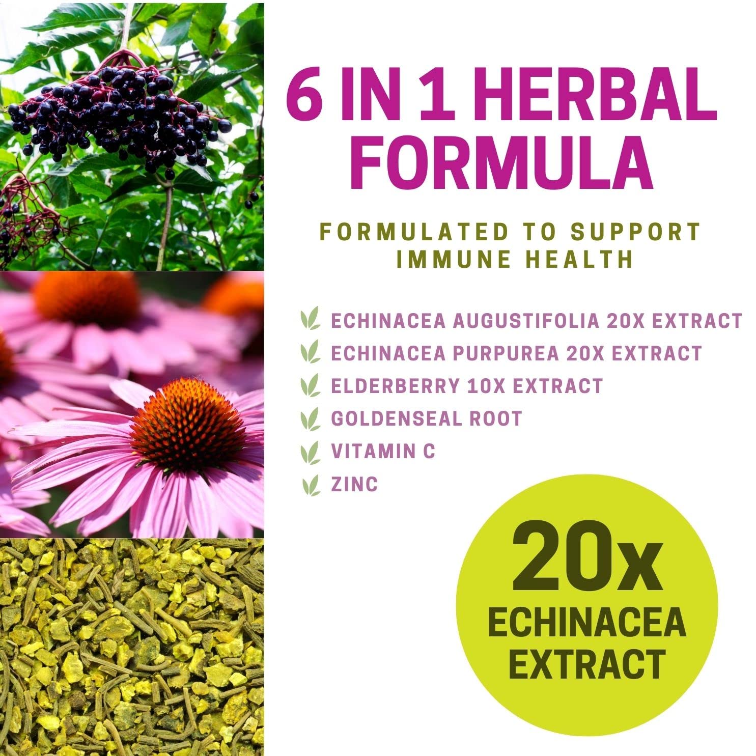 Echinacea Capsules – 60 Vegetable Capsules | 4500mg of Echinacea Per Day - Herba