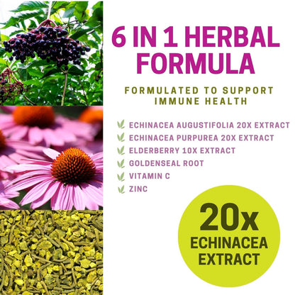 Echinacea Capsules – 60 Vegetable Capsules | 4500mg of Echinacea Per Day - Herba