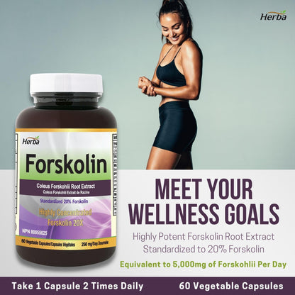 Forskolin Supplements - 125mg, 60 Vegetable Capsules - Forskolin Extract for Weight Loss - Herba