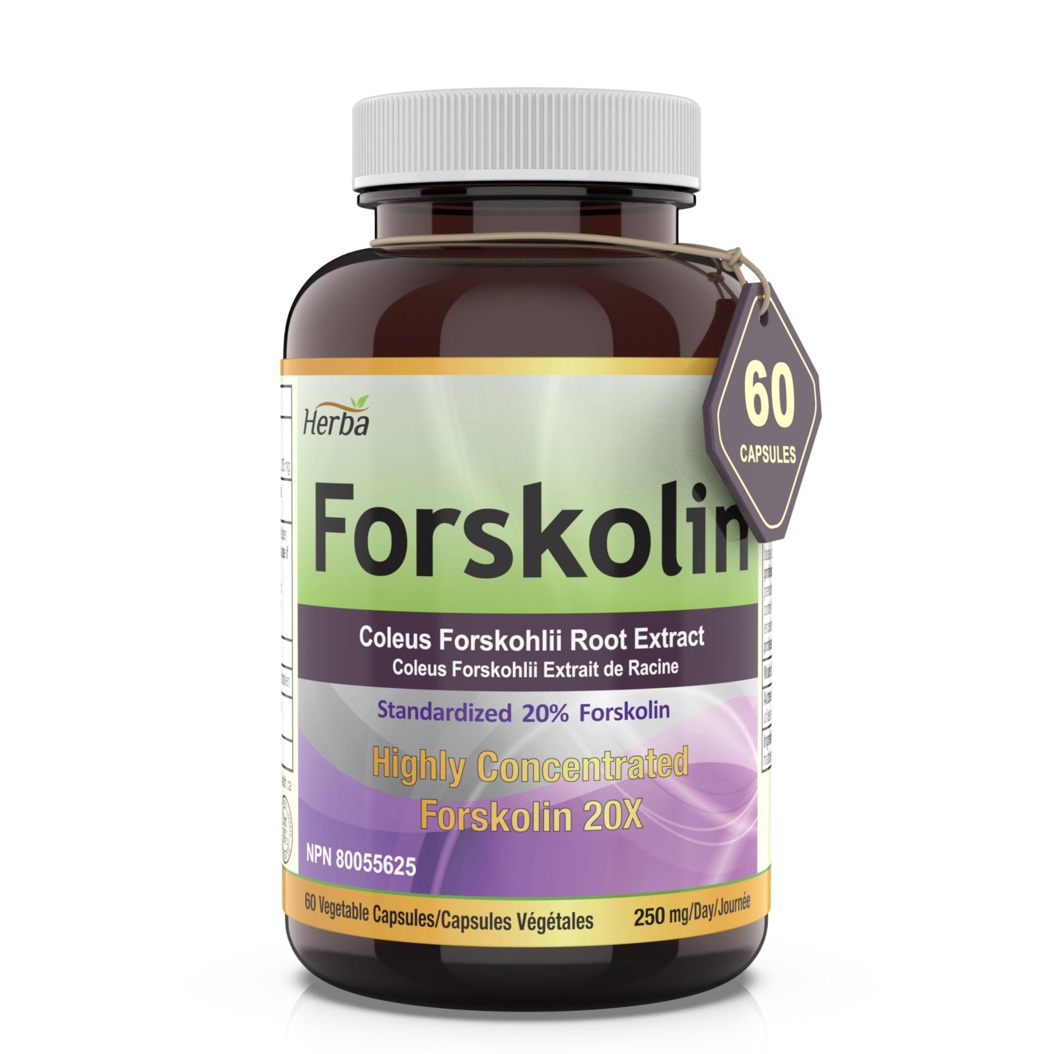 Forskolin Supplements - 125mg, 60 Vegetable Capsules - Forskolin Extract for Weight Loss - Herba