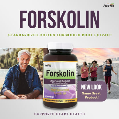 Forskolin Supplements - 125mg, 60 Vegetable Capsules - Forskolin Extract for Weight Loss - Herba