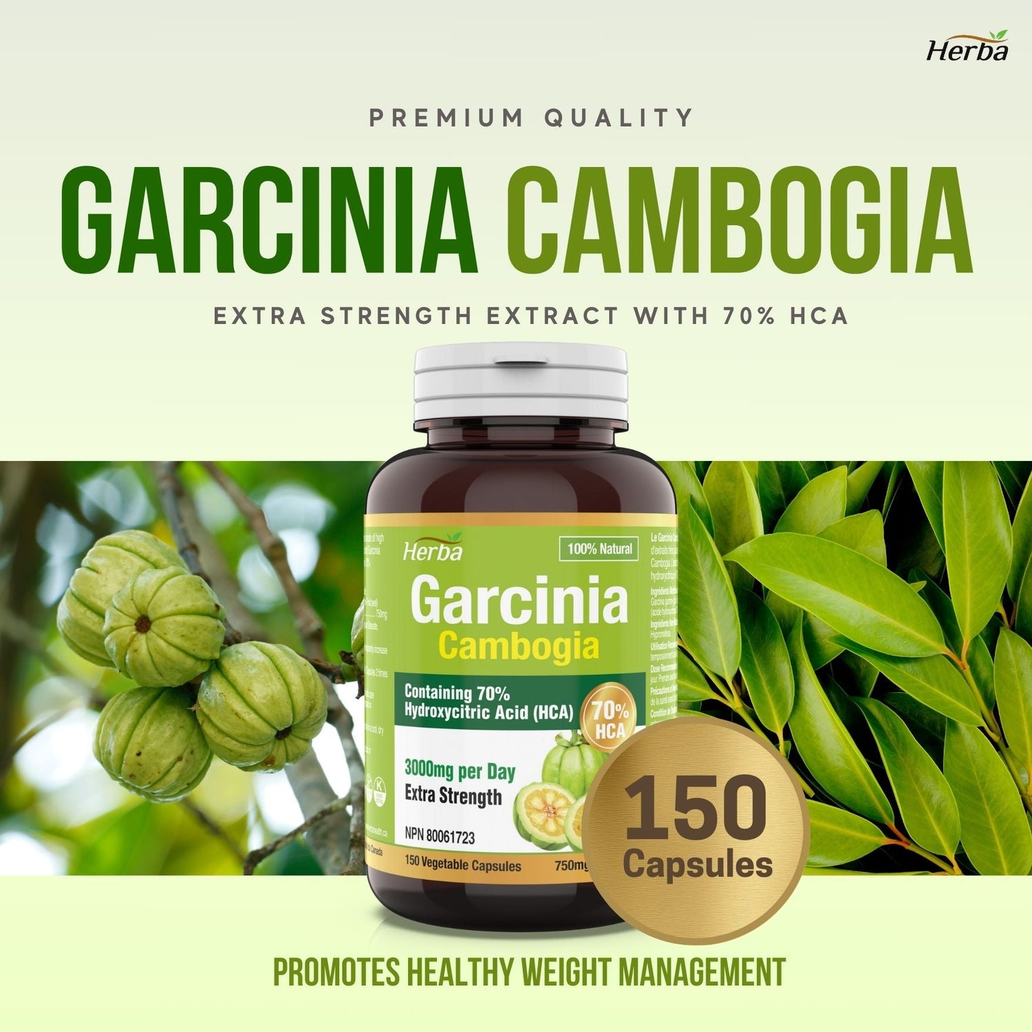 Garcinia Cambogia Extract – 70% HCA | 150 Vegetable Capsules - Herba