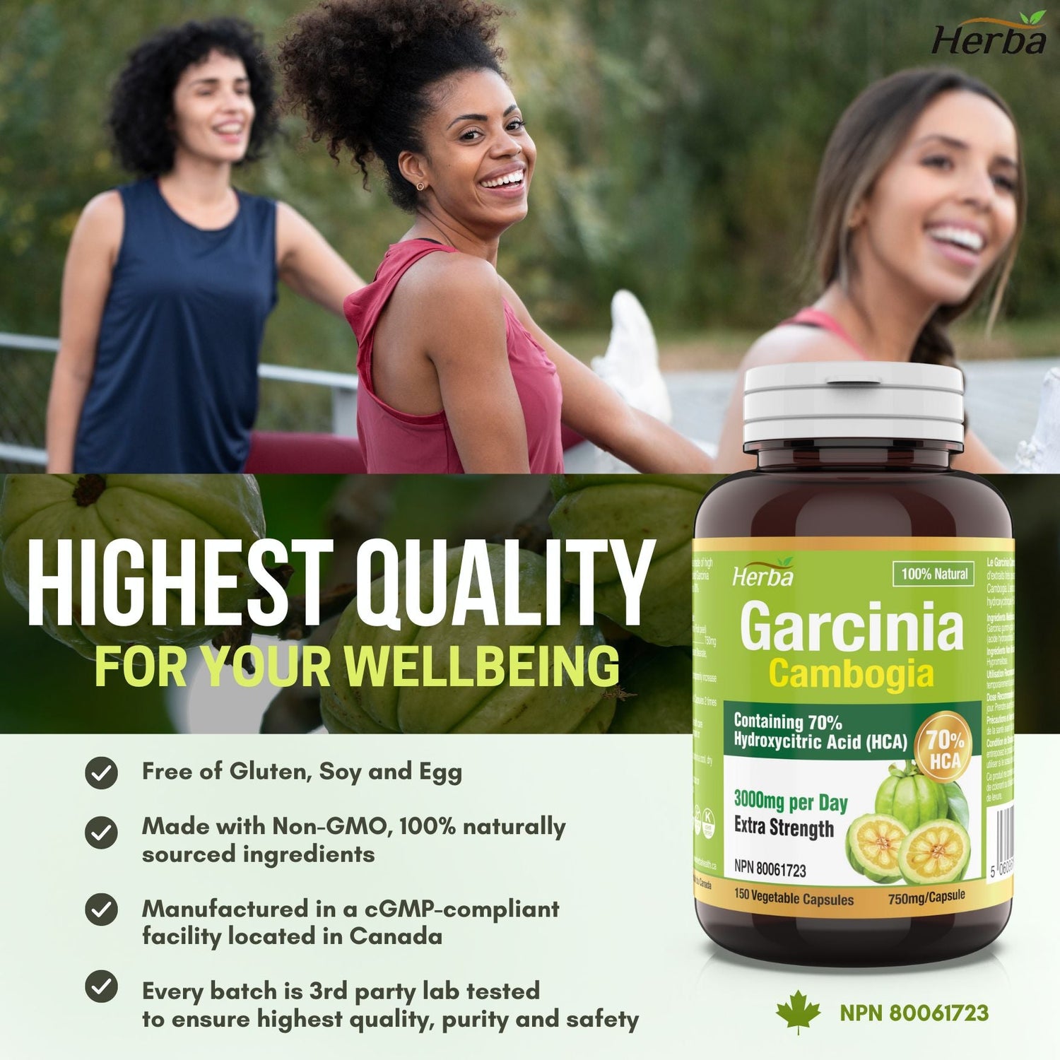 Garcinia Cambogia Extract – 70% HCA | 150 Vegetable Capsules - Herba