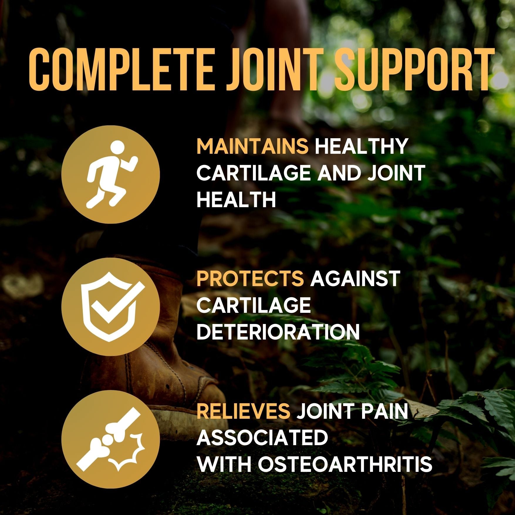 Joint Care Supplement with Glucosamine Chondroitin MSM Capsules – 180 Capsules - Herba