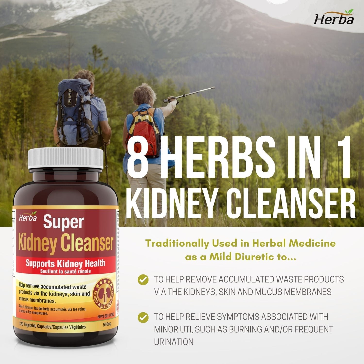 Kidney Cleanse Supplement – 120 Capsules | 8 Natural Ingredients to Detox and Support Kidney and Bladder Health - Herba