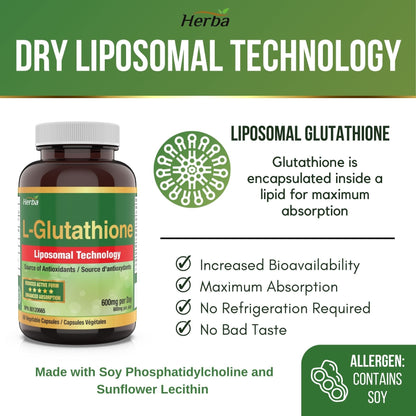 Liposomal Glutathione Supplement - 600mg Per Day | 60 Vegetable Capsules - Herba