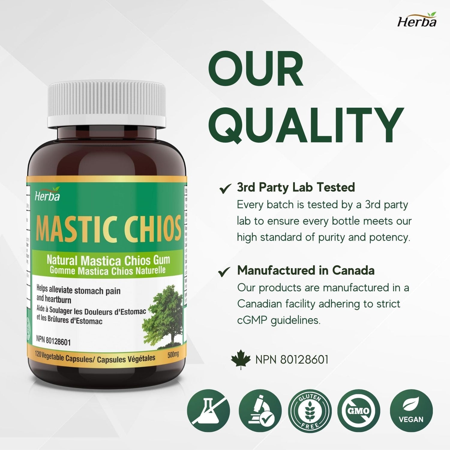 Mastic Gum 500mg - 120 Capsules | Made in Canada - Herba