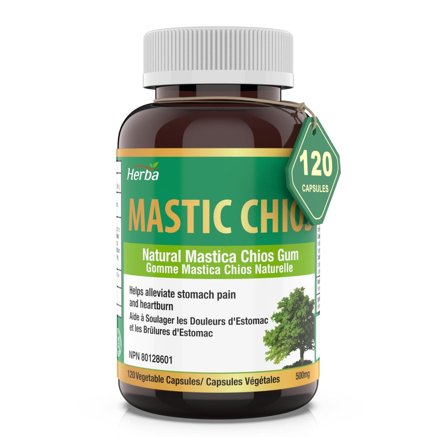 Mastic Gum 500mg - 120 Capsules | Made in Canada - Herba