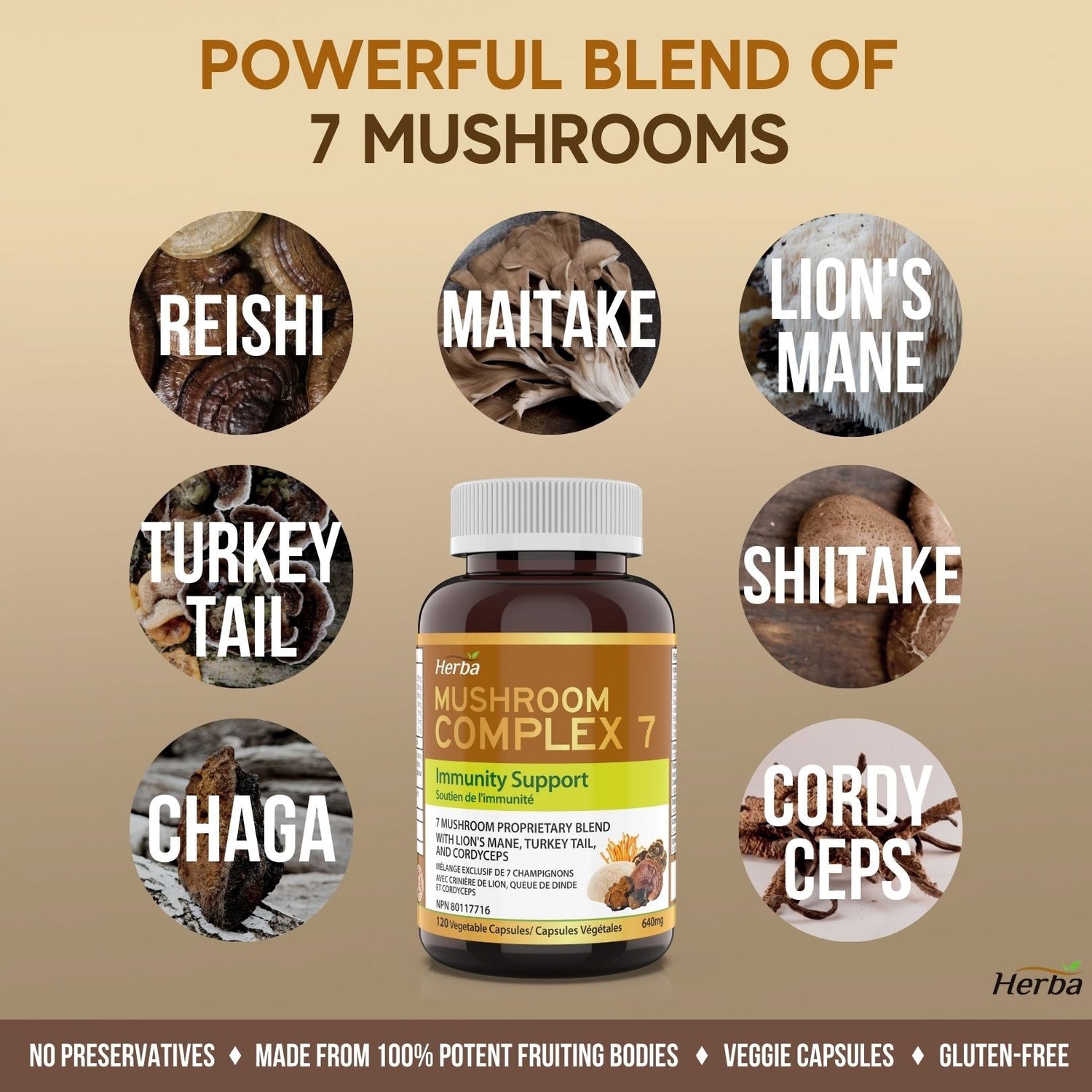 Mushroom Complex Supplements – 120 Capsules - Herba