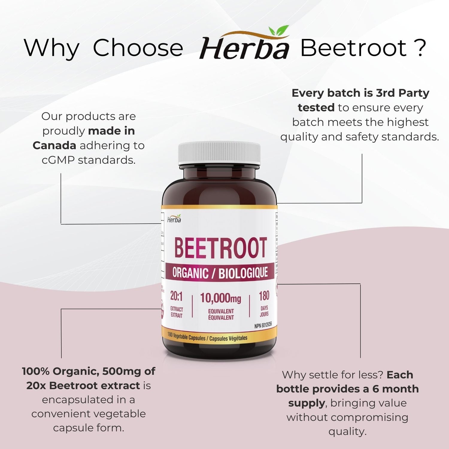 Organic Beet Root Supplement - 180 Capsules | 10,000mg Equivalent - 20:1 Extract Beetroot | Made in Canada - Herba