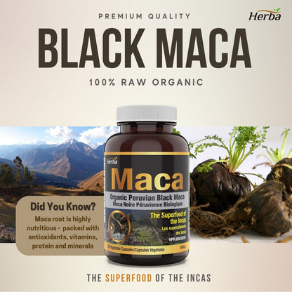 Organic Black Maca Capsules - 500mg, 180 Capsules | Peruvian Black Maca - Herba