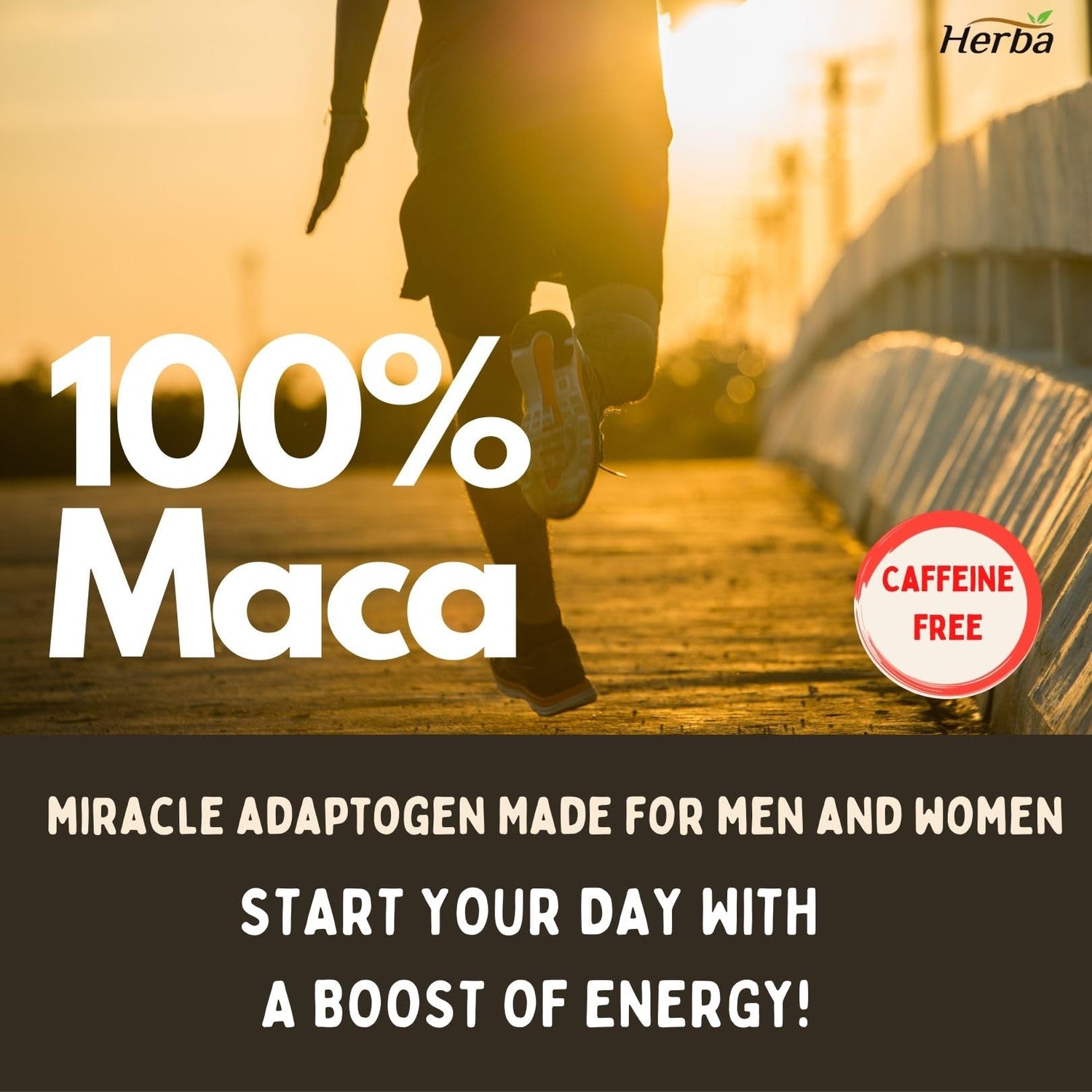 Organic Black Maca Capsules - 500mg, 180 Capsules | Peruvian Black Maca - Herba