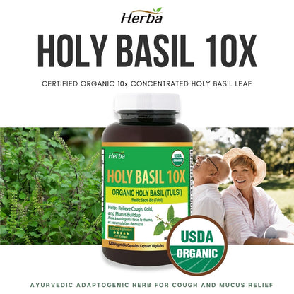 Organic Holy Basil Capsules – 350mg | 120 Vegetable Capsules - Herba