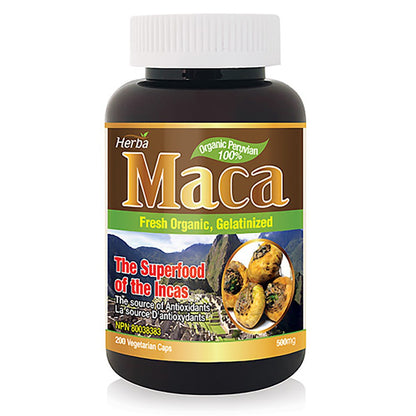 Organic Peruvian Maca Capsules - 500mg, 200 Capsules - Herba