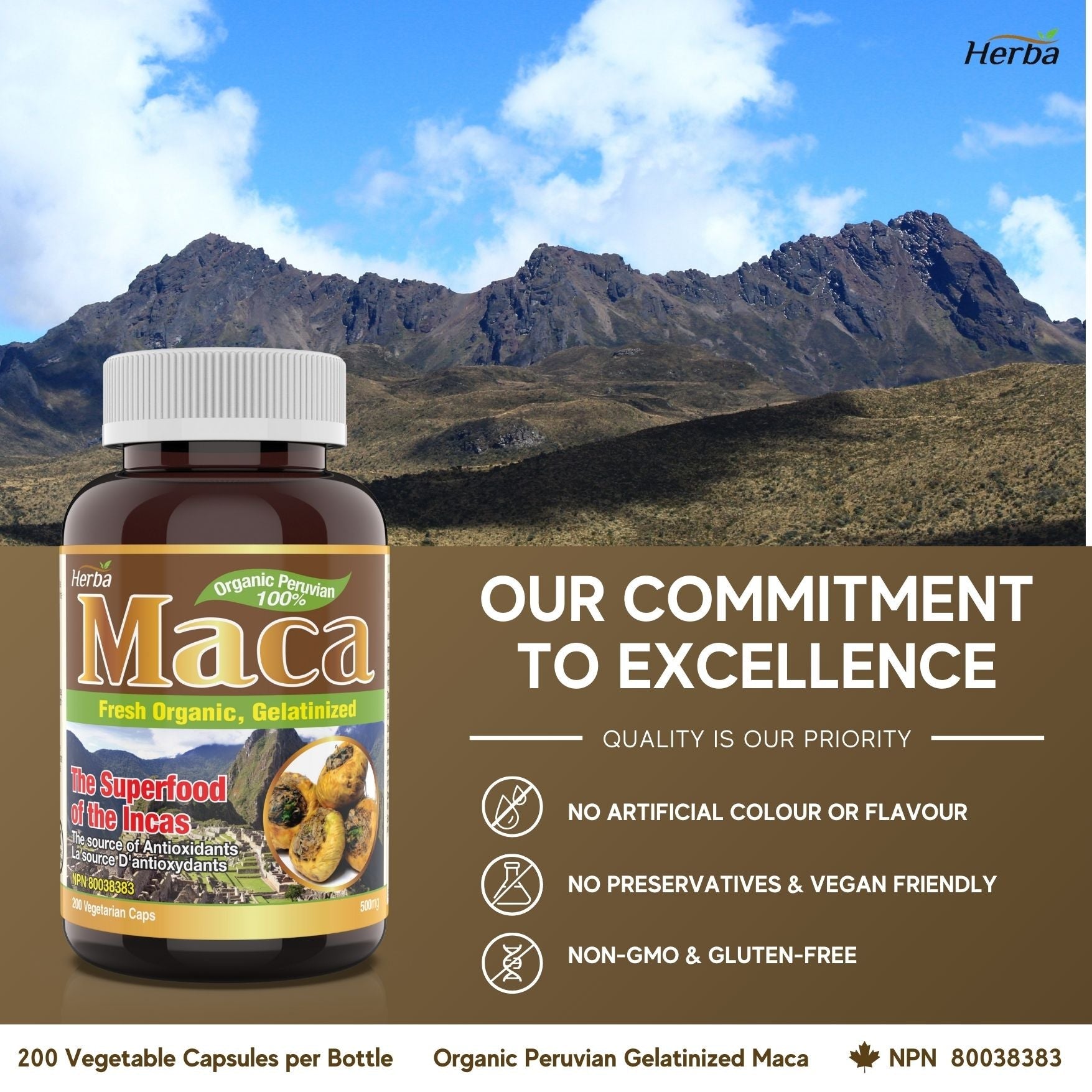 Organic Peruvian Maca Capsules - 500mg, 200 Capsules - Herba