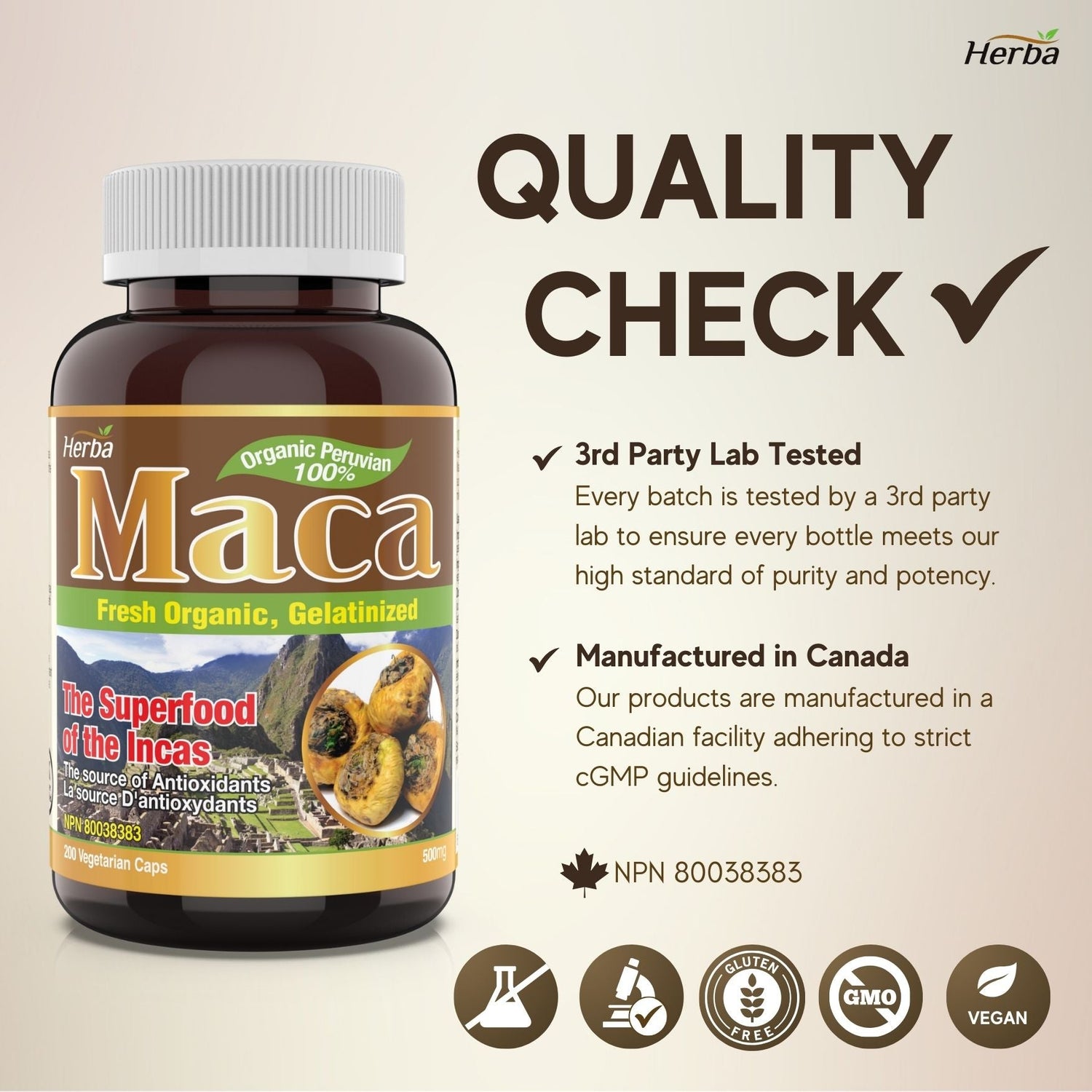 Organic Peruvian Maca Capsules - 500mg, 200 Capsules - Herba