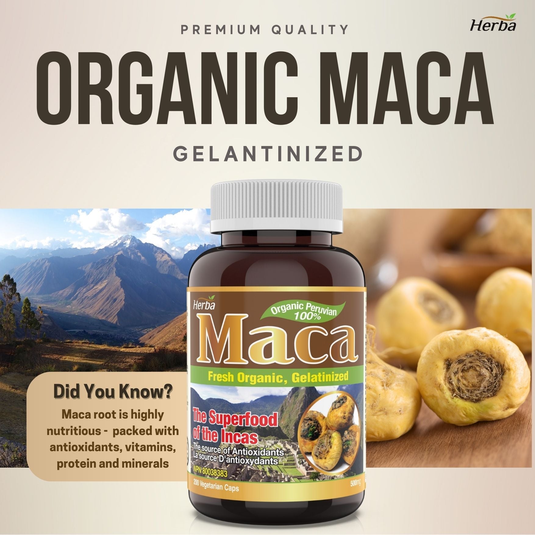 Organic Peruvian Maca Capsules - 500mg, 200 Capsules - Herba