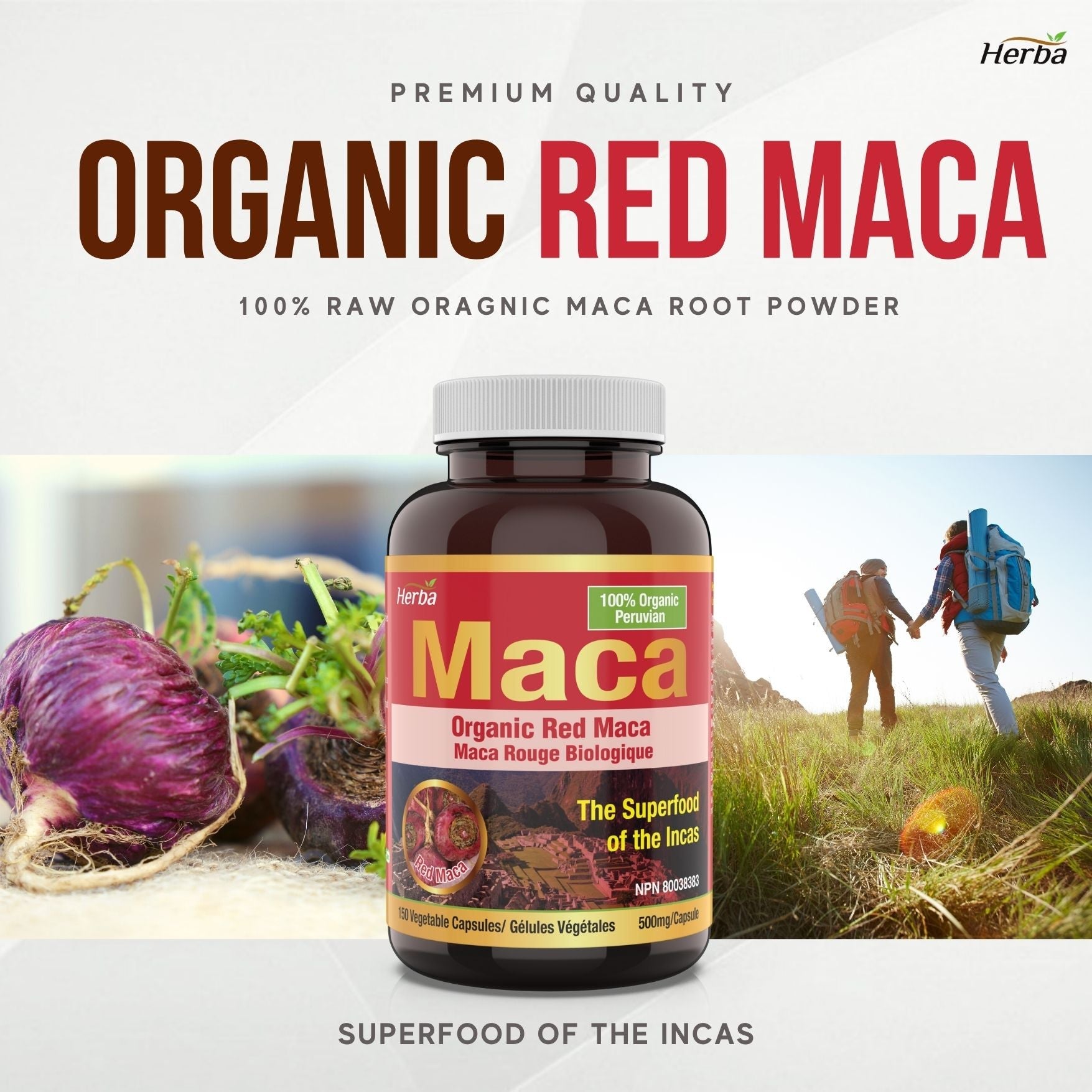 Organic Red Maca Capsules for Women – 500mg, 150 Capsules - Herba