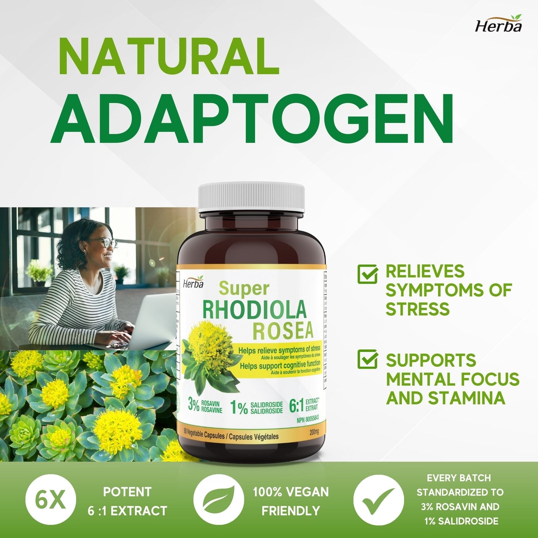 Rhodiola Rosea Supplement 200mg - 90 Vegetable Capsules | Made in Canada – 3% Rosavins and 1% Salidrosides - Herba