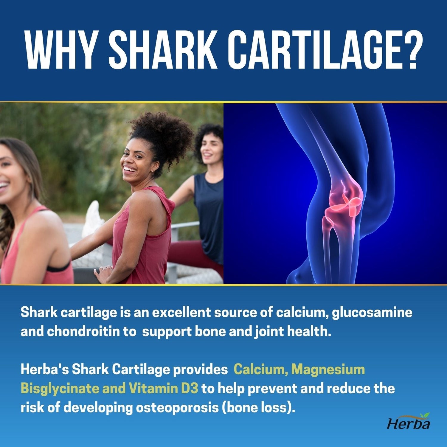 Shark Cartilage Capsules - 120 Capsules | 1,500mg Per Day | Shark Cartilage Supplement for Joints with Magnesium and Vitamin D3 - Herba