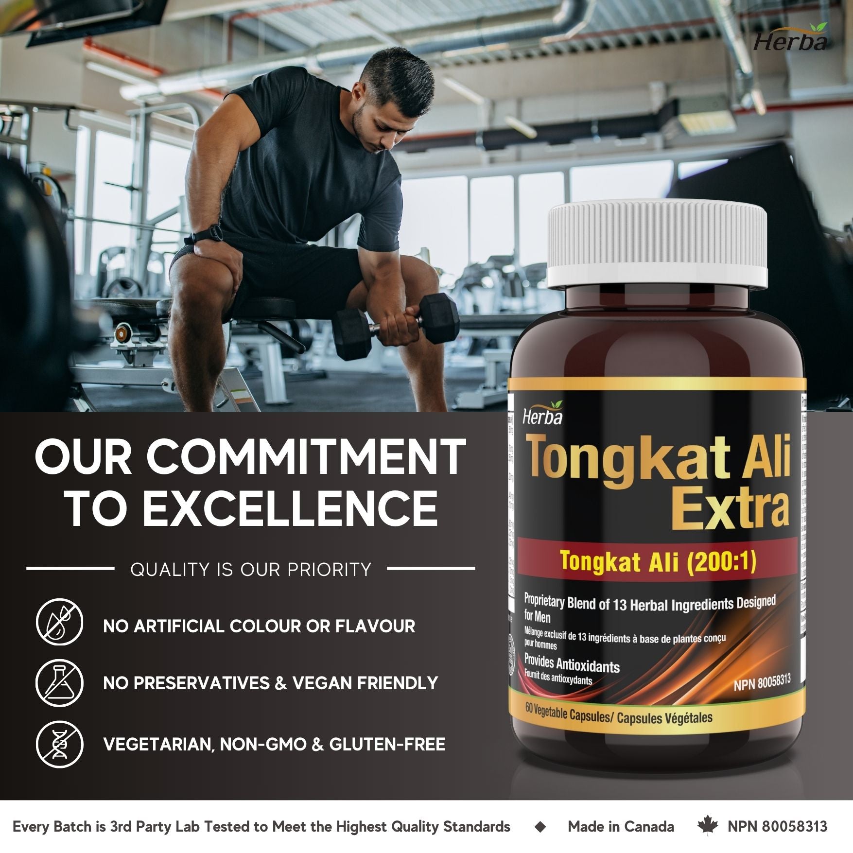 Tongkat Ali Supplement 200:1 - Made in Canada | 60 Capsules | Proprietary Blend including 10,000mg Equivalent of Tongkat Ali Extract - Herba