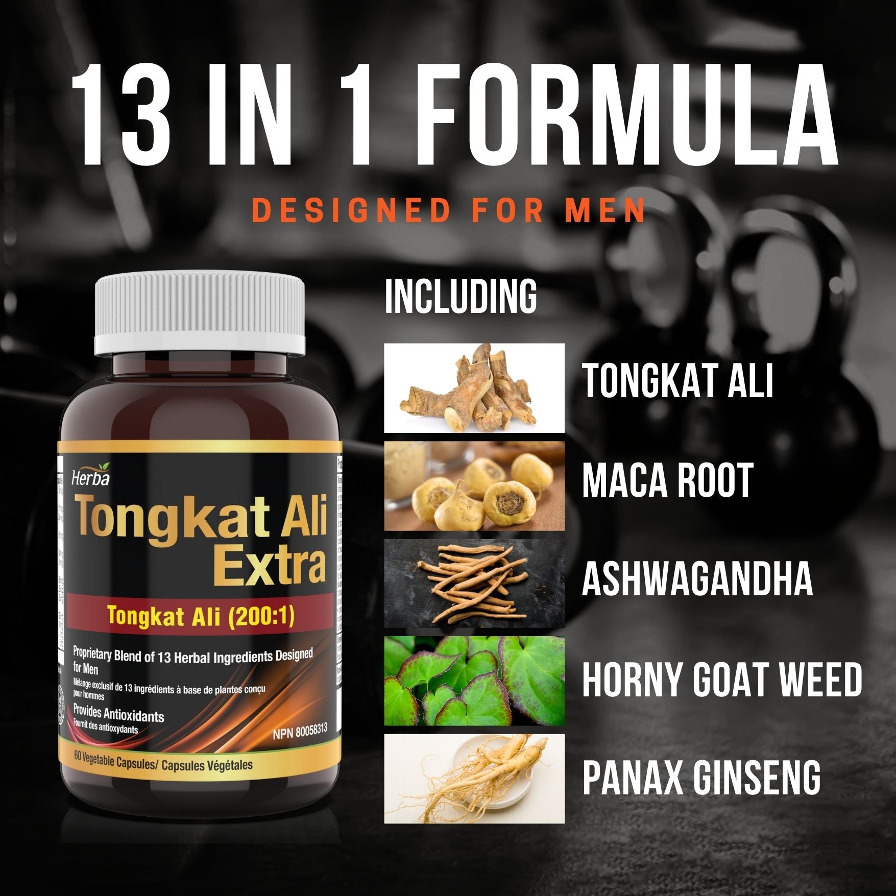 Tongkat Ali Supplement 200:1 - Made in Canada | 60 Capsules | Proprietary Blend including 10,000mg Equivalent of Tongkat Ali Extract - Herba